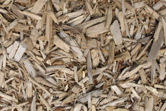 biomass boilers Saffron Walden